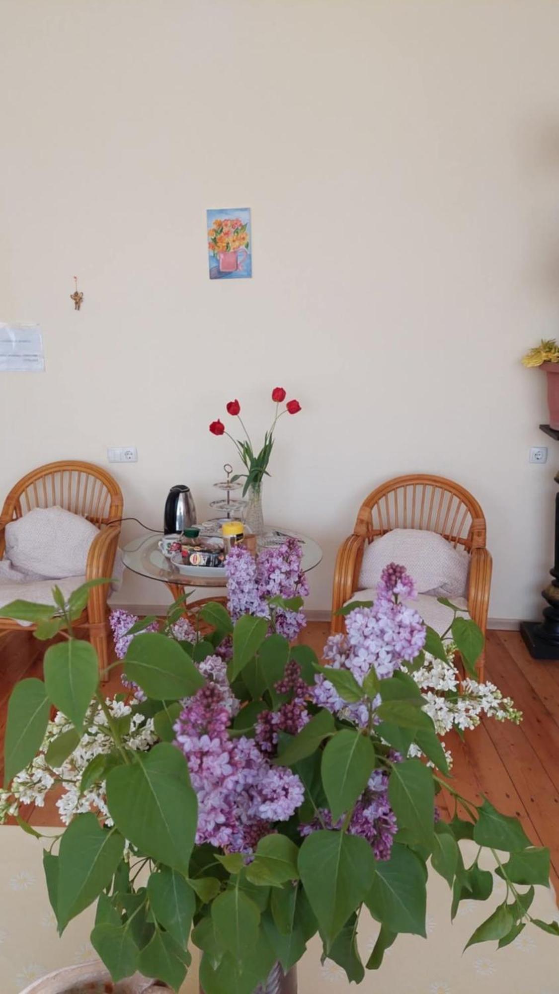 Guesthouse "Door" In Sighnaghi Extérieur photo